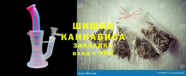 гидра Нестеровская